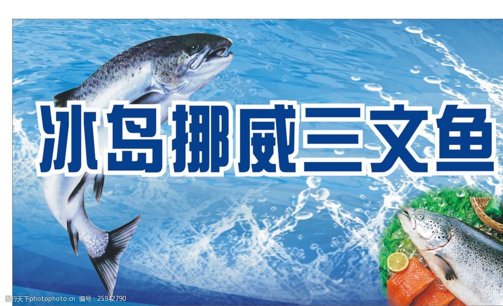 冰島挪威三文魚 優(yōu)質(zhì)水產(chǎn)品的典范
