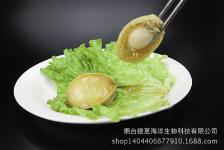 煙臺鮮活水產品市場全覽 批發價格與城際分類農產品解析
