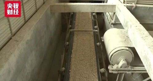 石家莊油價再調整，汽車“換口糧”背后的生物化工新動向